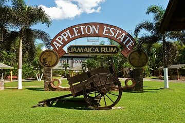 Appleton Rum Estate & YS Falls Combo Tour 