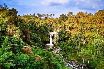 Ubud Tour: Monkey forest - Swing - Rice Terrace