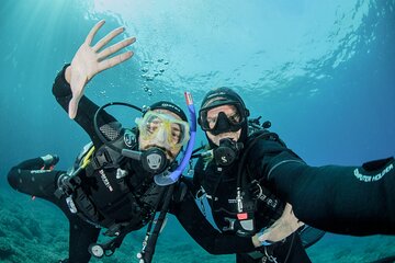 Guided diving for beginners without certification from Sorrento