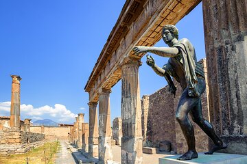 Pompeii Half Day with transfer from Naples