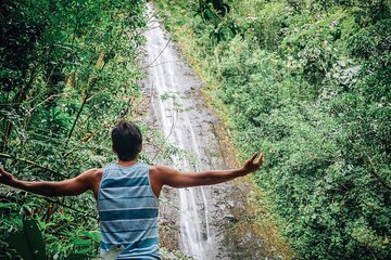 Manoa Waterfall Hike From Waikiki With Healthy Lunch Included