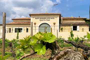 Visit and Tasting Château Saint-Georges Cote Pavie, Grand Cru Classé