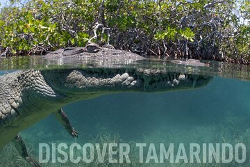 Tamarindo Estuary Tour