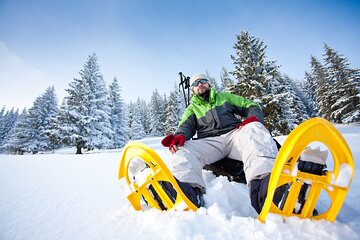 Snowshoeing in Levi