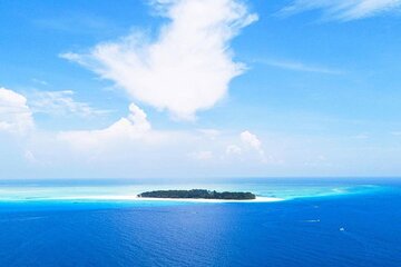 Mnemba Island Tour, Jozani Forest, Secret Garden, Stone Town, Emerson Restaurant