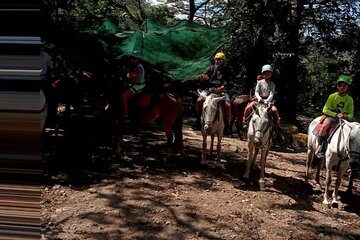 Horseback Riding Tours on the beach, mountain