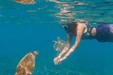 Daymaniyat Islands Snorkeling Half-Day Tour