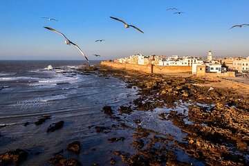 Private Essaouira day trip from Marrakech 