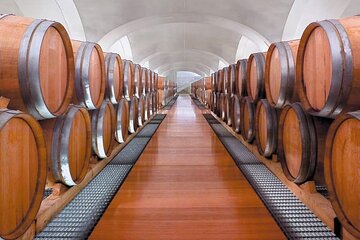 Visit to the cellar at the Feudi di San Gregorio da Sorrento