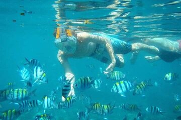 Blue Lagoon Snorkeling Kanto Lampo and Tegenungan Waterfall Tour