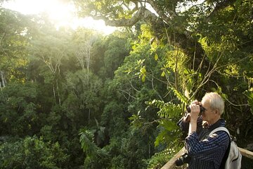 Cuc Phuong National Park Private Day Tour: Trekking & Primates 