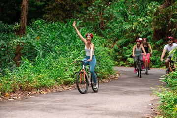 Blue Mountain Bicycle Tour