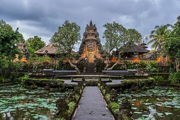 Full-day Private Tour in Ubud