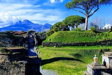 Private transfer from Naples to Pompeii or viceversa