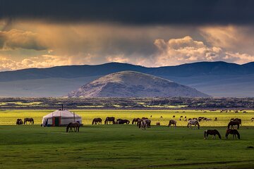 7-Days Central Mongolia Tour and Ancient city in Kharkhorin