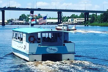 Eagles Island 50 minute Narrated Boat Cruise