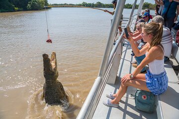 1 Hour Jumping Crocodile Cruise on the Adelaide River