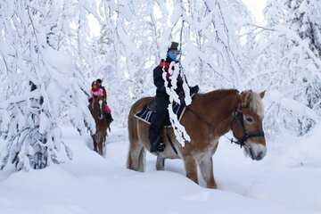 Horseback Riding Tour in Levi