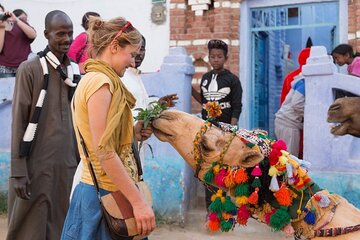 Nubian Village Day Tour in Aswan