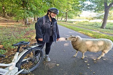 E-biking Northern Forgotten Giants' s Adventure