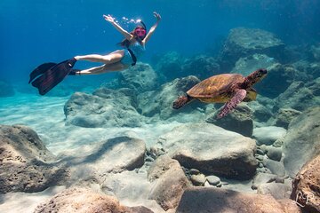 Turtle Gardens West Maui Snorkel Tour