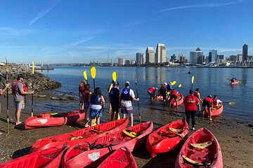 San Diego Bay 1.5-Hour Guided Kayak Tour in Coronado