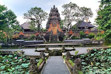 Ubud Private Tour - Best Of Ubud - All Inclusive