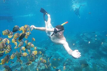 Nusa Penida Snorkling Package