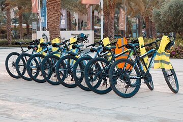 Sightseeing Bike Rental in Aqaba