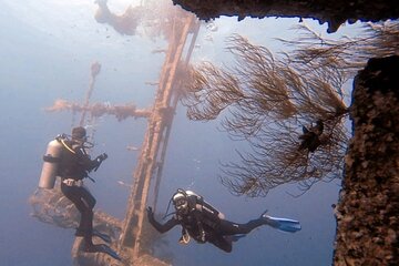 Guided Scuba Diving Adventure in Aqaba