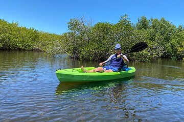 2 Hours Kayak Eco Tour in Tarpon Springs