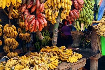 Spice Tour; Stone Town Tour; Island Pongwe Restaurant; Baraka Aquarium; Kendwa
