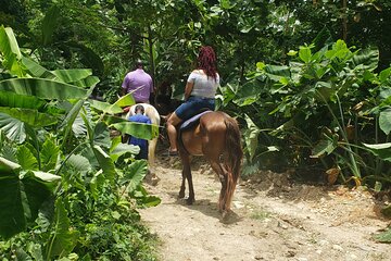 Horseback 'Ride N Swim' & Dunns River Falls from Montego Bay