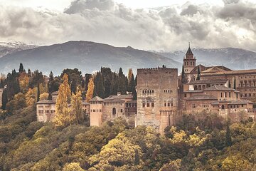 Alhambra Guided Tour from Malaga with Private Transportation