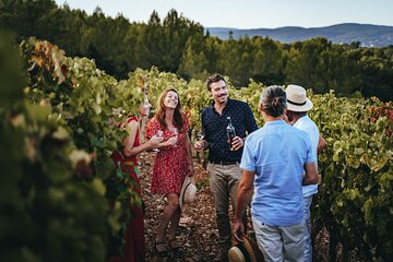 Provence Wine Tour - Small Group Tour from Cannes