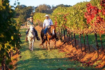 Guided Horseback Tour only 30 mins from Sedona. 