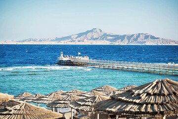 Tiran Island Diving Day Trip By Boat from Sharm el-sheikh