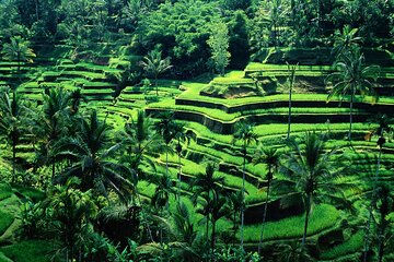 Best Ubud Culture with Shopping Spree