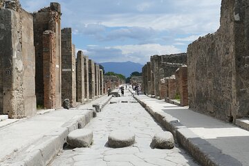 Pompeii and Herculaneum with Wine Tour