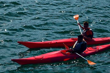 Cairo Kayak on The Nile River