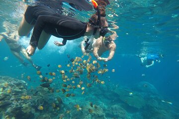 Manta Bay and Diamond Beach Private Snorkeling Tour with Lunch