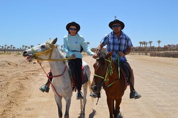  Desert Horse Riding in Sharm El Sheikh