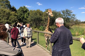 Cradle of Humankind Tour with Lion Safari from Johannesburg