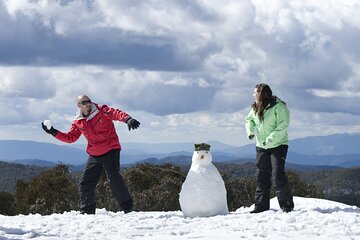 Full-Day Mount Buller Tour