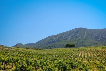 From Lisbon: Cristo Rei, Arrabida & Setubal Full-Day Group Tour