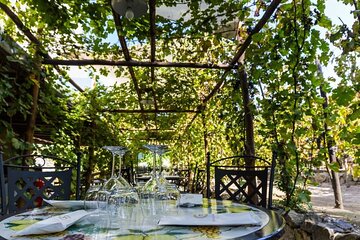 Wine Tasting Including Lunch