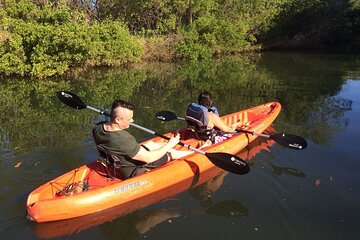 Tamarindo river guided kayak mangrove & environment watching tour in Guanacaste
