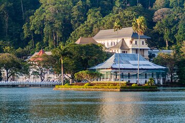 2 Days Tour To Kandy Nuwara Eliya & Horton plains From Negombo