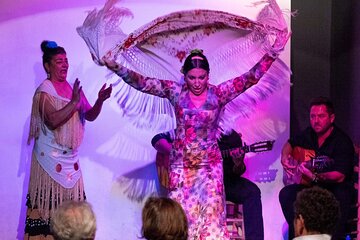 Flamenco show at the foot of the Giralda in Seville