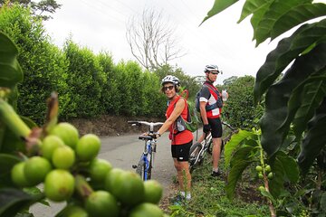 4-Days Biking and Hiking in Cocora Valley - Nature, Coffee & Real Culture 